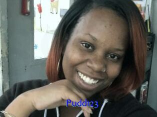 Pudd123