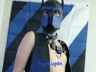 PupLupin Sexo Gratis