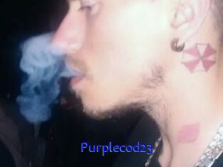 Purplecod23