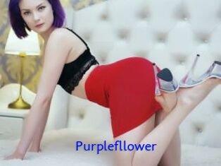 Purplefllower
