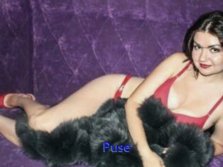 Puse