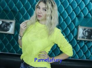 Pamelafury