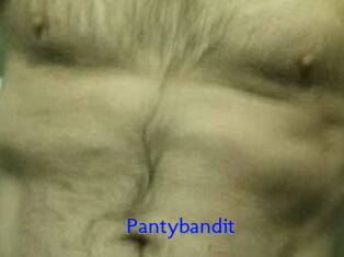 Pantybandit