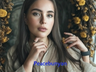 Peacebunyan
