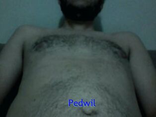 Pedwil