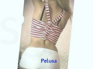 Pelusa
