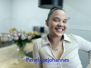 Penelopejohannes