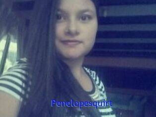 Penelopesquirt