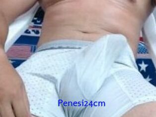 Penesi24cm