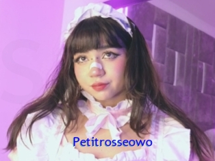 Petitrosseowo