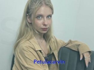 Petulacarvin