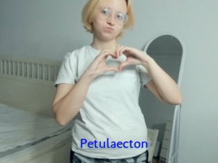 Petulaecton