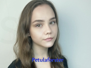 Petulaforster