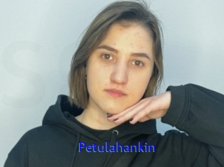 Petulahankin