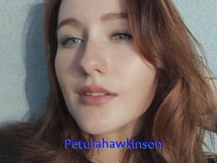 Petulahawkinson