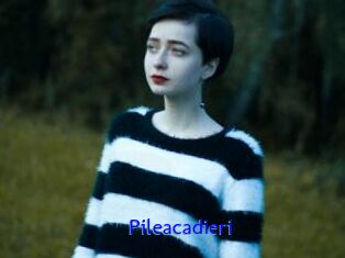 Pileacadieri