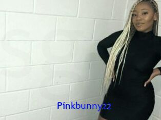 Pinkbunny22