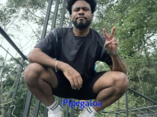 Pipegaloa