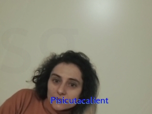 Pisicutacalient