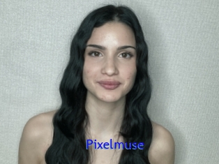 Pixelmuse