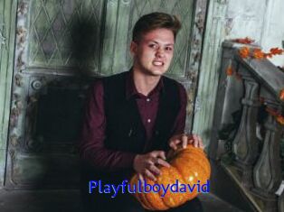 Playfulboydavid