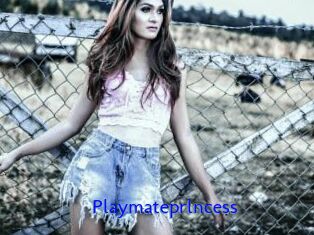 Playmateprlncess