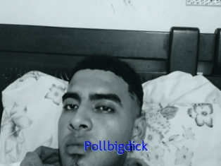 Pollbigdick