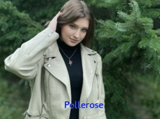 Pollerose