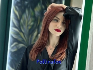Pollinafox
