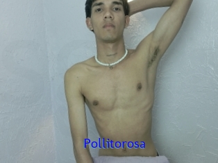 Pollitorosa