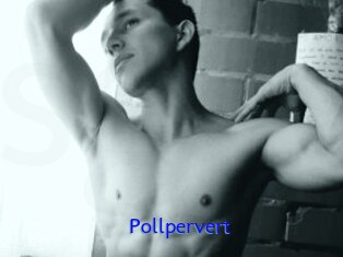 Pollpervert