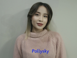 Pollysky