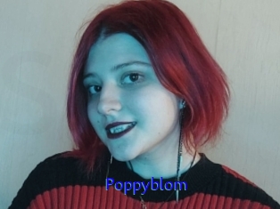 Poppyblom