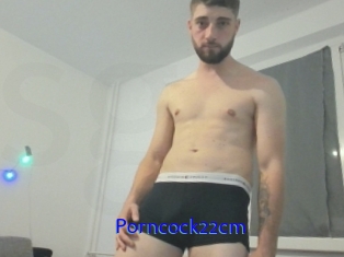 Porncock22cm