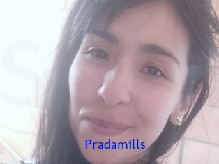 Pradamills
