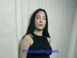 Primrosebingham