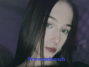Primrosebranch