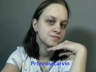 Primrosecarvin