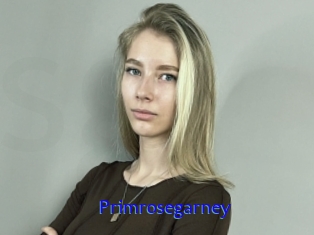 Primrosegarney