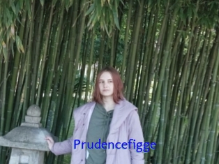 Prudencefigge