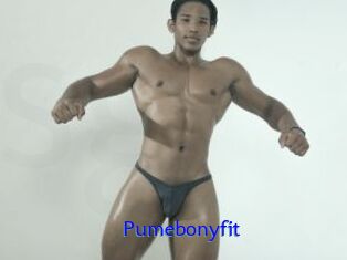 Pumebonyfit