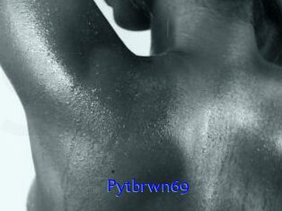Pytbrwn69