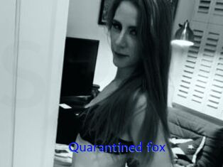 Quarantined_fox