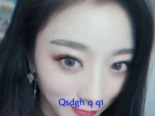 Qsdgh_q_q1