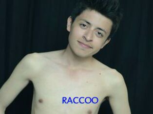 RACCOO