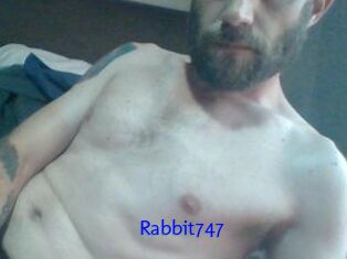 Rabbit747