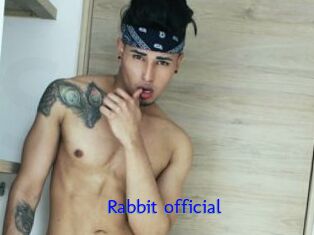 Rabbit_official