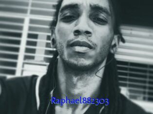 Raphael882303