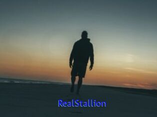 RealStallion