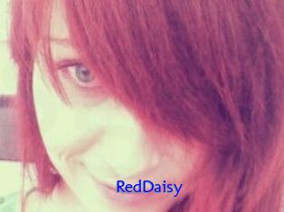 RedDaisy